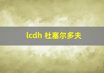 lcdh 杜塞尔多夫